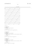 TARGETED MODIFICATION OF MALATE DEHYDROGENASE diagram and image