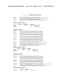 CLONING OF CYTOCHROME P450 GENES FROM NICOTIANA diagram and image