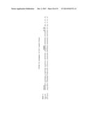 CLONING OF CYTOCHROME P450 GENES FROM NICOTIANA diagram and image