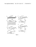 COMPOSITIONS AND METHODS FOR CONTROLLING CARBON DIOXIDE- (CO2-) REGULATED     STOMATAL APERTURES, WATER TRANSPIRATION AND WATER USE EFFICIENCY IN     PLANTS diagram and image