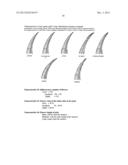 Pineapple plant named Rose (EF2-114) diagram and image