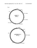 Pineapple plant named Rose (EF2-114) diagram and image