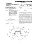 EMBOSSED FIBROUS STRUCTURES diagram and image