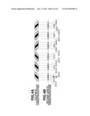 IMAGE FORMING APPARATUS diagram and image