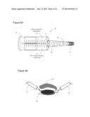 COMPOSITIONS AND METHODS FOR TOPICAL NITRIC OXIDE GENERATION diagram and image