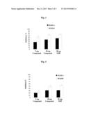 NEUROPROTECTIVE AND NEURO-RESTORATIVE IRON CHELATORS AND MONOAMINE OXIDASE     INHIBITORS AND USES THEREOF diagram and image