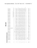 CHEMOKINE-IMMUNOGLOBULIN FUSION POLYPEPTIDES, COMPOSITIONS, METHOD OF     MAKING AND USE THEREOF diagram and image