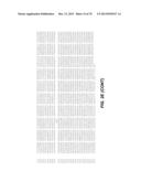 CHEMOKINE-IMMUNOGLOBULIN FUSION POLYPEPTIDES, COMPOSITIONS, METHOD OF     MAKING AND USE THEREOF diagram and image