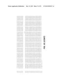 CHEMOKINE-IMMUNOGLOBULIN FUSION POLYPEPTIDES, COMPOSITIONS, METHOD OF     MAKING AND USE THEREOF diagram and image