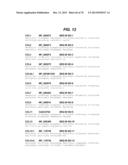 CHEMOKINE-IMMUNOGLOBULIN FUSION POLYPEPTIDES, COMPOSITIONS, METHOD OF     MAKING AND USE THEREOF diagram and image