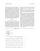 LEVELS OF BLYS/APRIL HETEROTRIMERS IN SERUM AND USE IN DIAGNOSTIC METHODS diagram and image