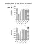 COMPOSITION AND METHOD FOR THE DIAGNOSIS AND TREATMENT OF DISEASES     ASSOCIATED WITH NEURITE DEGENERATION diagram and image