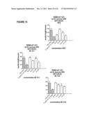 COMPOSITION AND METHOD FOR THE DIAGNOSIS AND TREATMENT OF DISEASES     ASSOCIATED WITH NEURITE DEGENERATION diagram and image