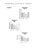 COMPOSITION AND METHOD FOR THE DIAGNOSIS AND TREATMENT OF DISEASES     ASSOCIATED WITH NEURITE DEGENERATION diagram and image