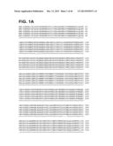 COMPOSITIONS RELATING TO A MUTANT CLOSTRIDIUM DIFFICILE TOXIN AND METHODS     THEREOF diagram and image