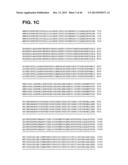 COMPOSITIONS RELATING TO A MUTANT CLOSTRIDIUM DIFFICILE TOXIN AND METHODS     THEREOF diagram and image