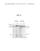 COMPOSITIONS RELATING TO A MUTANT CLOSTRIDIUM DIFFICILE TOXIN AND METHODS     THEREOF diagram and image