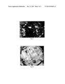 ECO-FRIENDLY ROAD SURFACE COATING MATERIAL FOR THAWING ICE AND SNOW AND     METHODS OF PREPARING AND USING THE SAME diagram and image