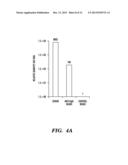 ASSAYS AND METHODS TO SEQUENCE MICROBES DIRECTLY FROM IMMUNE COMPLEXES diagram and image