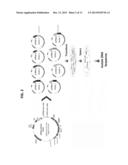 CLONAL ANALYSIS OF FUNCTIONAL GENOMIC ASSAYS AND COMPOSITIONS FOR     PRACTICING SAME diagram and image