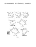 MACROCYCLIC COMPOUNDS WITH A HYBRID PEPTIDIC/NON-PEPTIDIC BACKBONE AND     METHODS FOR THEIR PREPARATION diagram and image