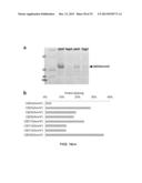 MACROCYCLIC COMPOUNDS WITH A HYBRID PEPTIDIC/NON-PEPTIDIC BACKBONE AND     METHODS FOR THEIR PREPARATION diagram and image