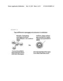 SINGLE NANOPARTICLE HAVING A NANOGAP BETWEEN A CORE MATERIAL AND A SHELL     MATERIAL, AND PREPARATION METHOD THEREOF diagram and image