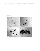 SINGLE NANOPARTICLE HAVING A NANOGAP BETWEEN A CORE MATERIAL AND A SHELL     MATERIAL, AND PREPARATION METHOD THEREOF diagram and image