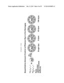 SINGLE NANOPARTICLE HAVING A NANOGAP BETWEEN A CORE MATERIAL AND A SHELL     MATERIAL, AND PREPARATION METHOD THEREOF diagram and image