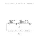 MULTI-CHAIN EUKARYOTIC DISPLAY VECTORS AND USES THEREOF diagram and image