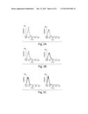 MULTI-CHAIN EUKARYOTIC DISPLAY VECTORS AND USES THEREOF diagram and image