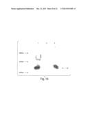 MULTI-CHAIN EUKARYOTIC DISPLAY VECTORS AND USES THEREOF diagram and image