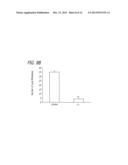 TREATMENT OF CANCERS WITH IMMUNOSTIMULATORY HIV TAT DERIVATIVE     POLYPEPTIDES diagram and image