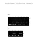 METAL-BASED THIOPHENE PHOTODYNAMIC COMPOUNDS AND THEIR USE diagram and image