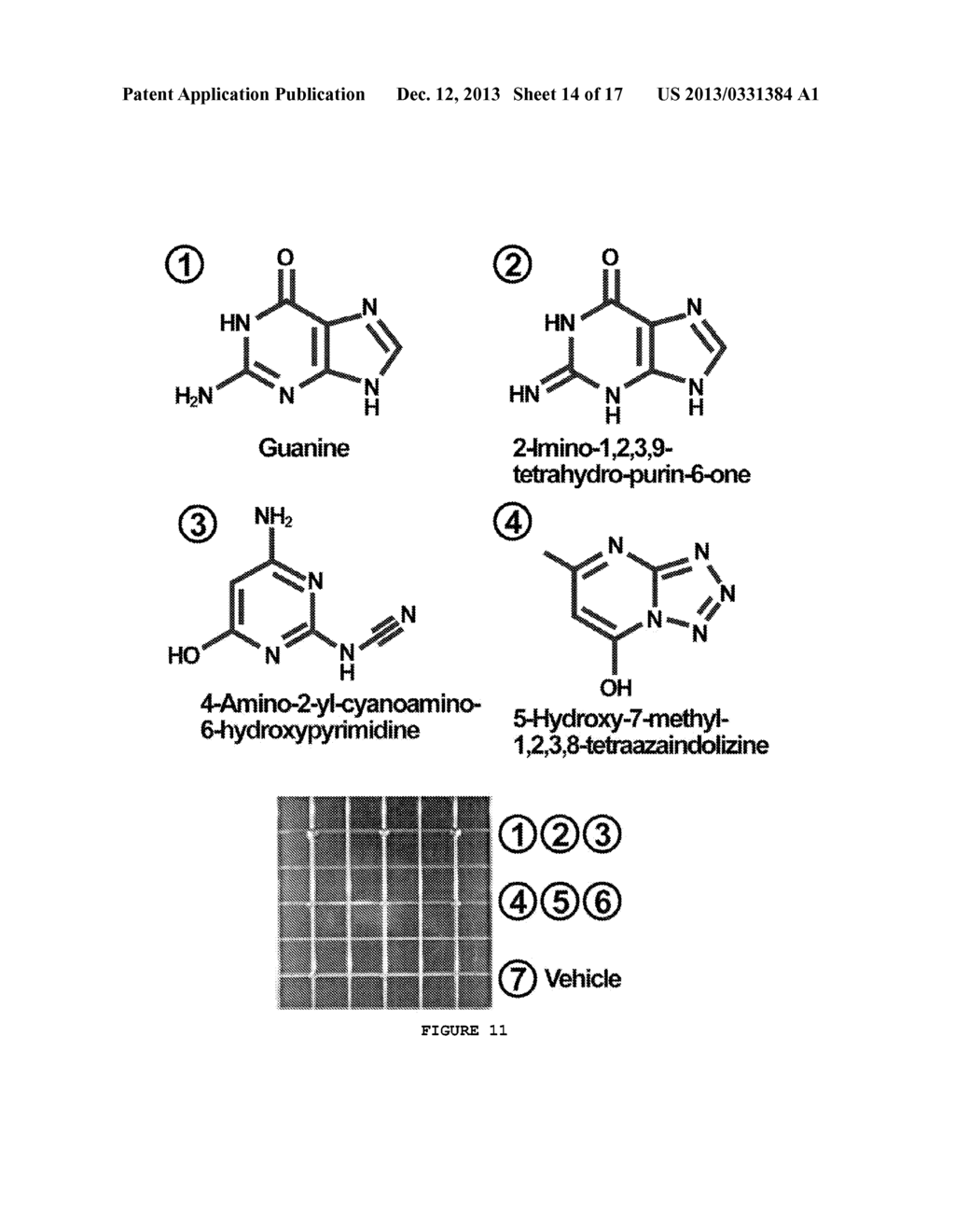 FIRMOCIDIN, AN ANTIMICROBIAL MOLECULE PRODUCED BY STAPHYLOCOCCUS     EPIDERMIDIS - diagram, schematic, and image 15