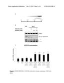 Combinations of Therapeutic Agents for use in the Treatment of     Neurodegenerative Diseases diagram and image