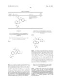 MINERALOCORTICOID RECEPTOR ANTAGONISTS diagram and image