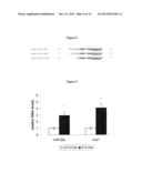 UCP1 (THERMOGENIN) - INDUCING AGENTS FOR USE IN THE TREATMENT OF A     DISORDER OF THE ENERGY HOMEOSTASIS diagram and image