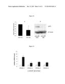 UCP1 (THERMOGENIN) - INDUCING AGENTS FOR USE IN THE TREATMENT OF A     DISORDER OF THE ENERGY HOMEOSTASIS diagram and image