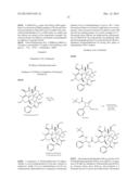 MULTI-ARM POLYMERIC PRODRUG CONJUGATES OF TAXANE-BASED COMPOUNDS diagram and image