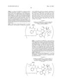 MULTI-ARM POLYMERIC PRODRUG CONJUGATES OF TAXANE-BASED COMPOUNDS diagram and image