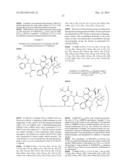 MULTI-ARM POLYMERIC PRODRUG CONJUGATES OF TAXANE-BASED COMPOUNDS diagram and image