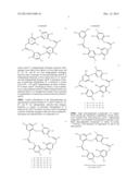 CHRYSOPHAENTIN ANALOGS THAT INHIBIT FTSZ PROTEIN diagram and image