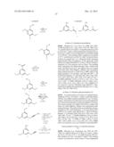 CHRYSOPHAENTIN ANALOGS THAT INHIBIT FTSZ PROTEIN diagram and image