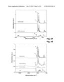 ORGANOMETALLIC CATALYST AND PREPARATION THEREOF diagram and image