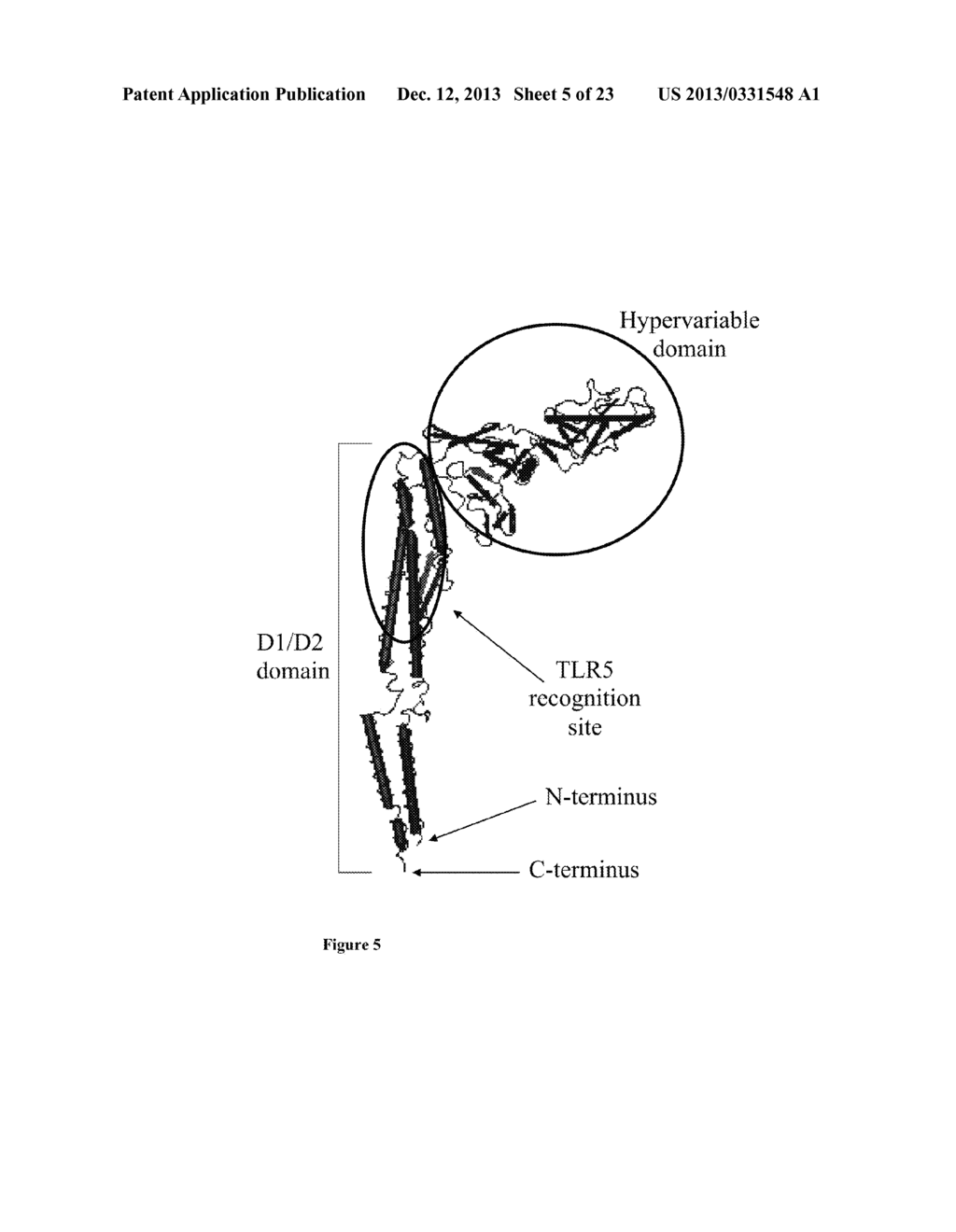 COMPOSITIONS OF FLAGELLIN AND PAPILLOMAVIRUS ANTIGENS - diagram, schematic, and image 06