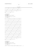 COMPOSITIONS OF FLAGELLIN AND PAPILLOMAVIRUS ANTIGENS diagram and image