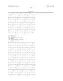 COMPOSITIONS OF FLAGELLIN AND PAPILLOMAVIRUS ANTIGENS diagram and image