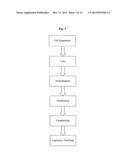 METHODS AND DEVICES FOR PRODUCING BIOMOLECULES diagram and image