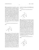 Sythesis of P-Chiral Compounds diagram and image